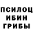 Псилоцибиновые грибы MAGIC MUSHROOMS Berxudar Memmedov