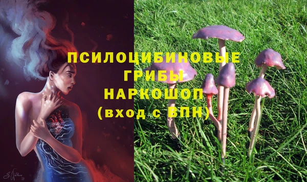jwh Бронницы