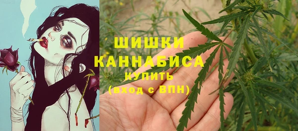 jwh Бородино