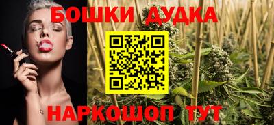 прущие грибы Апшеронск