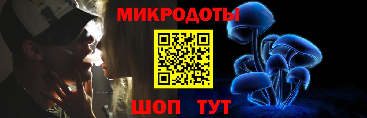 Псилоцибиновые грибы Cubensis Всеволожск