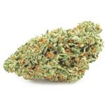 Шишки OG Kush  (Гидропоника, бошки) VHQ в Всеволожске
